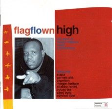 Bobby Digital - Flag Flown High
